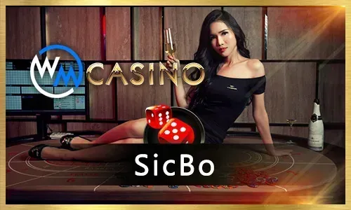 Video Slots with Bonus Features